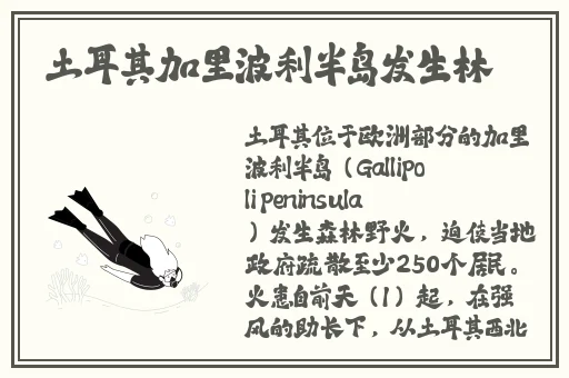 55499吃瓜群众必备